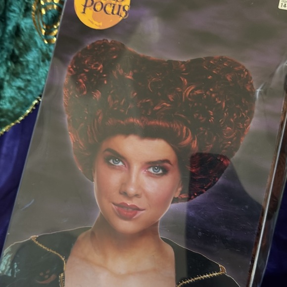 Hocus Pocus Winifred Sanderson Costume + Wig - Picture 7 of 7